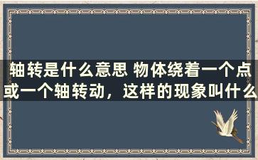 轴转是什么意思 物体绕着一个点或一个轴转动，这样的现象叫什么